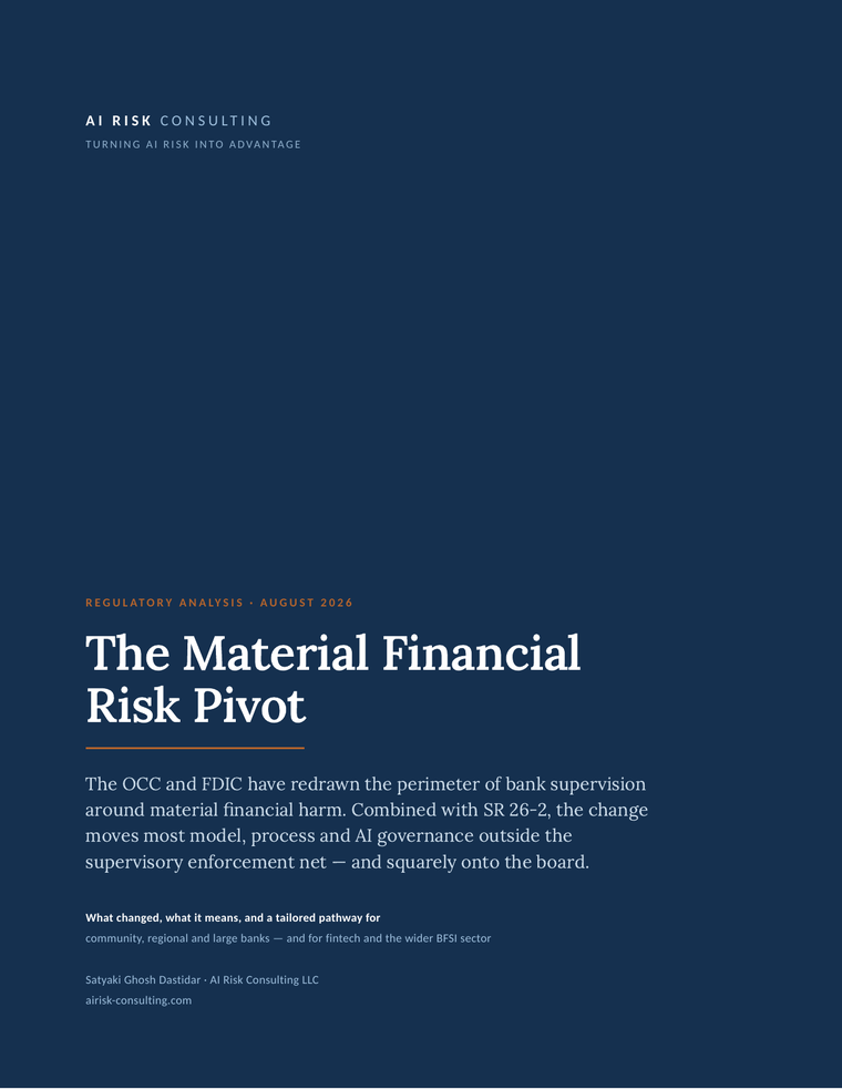 Cover of The Material Financial Risk Pivot whitepaper